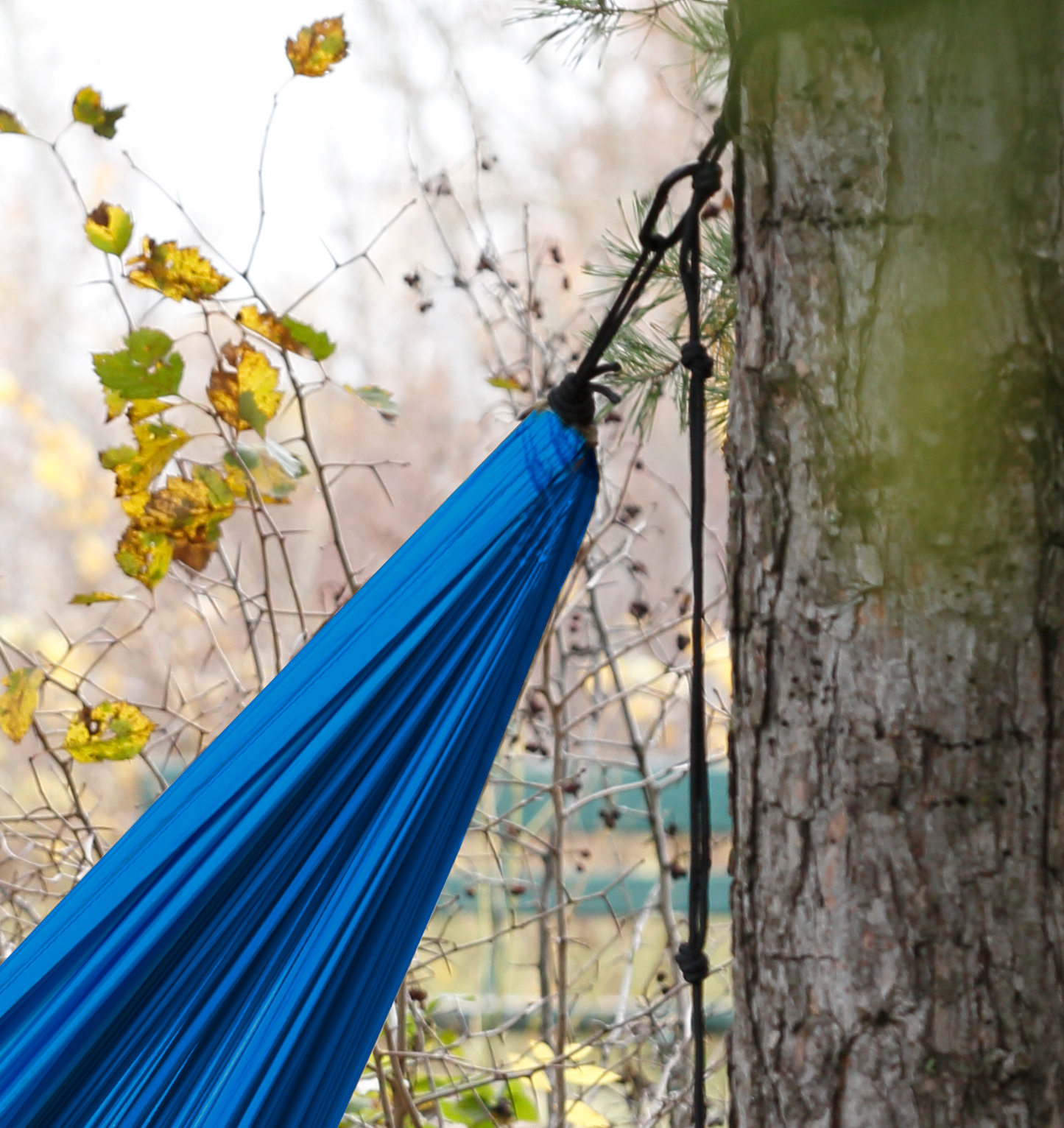 Hammock Carabiner - 2 Pack