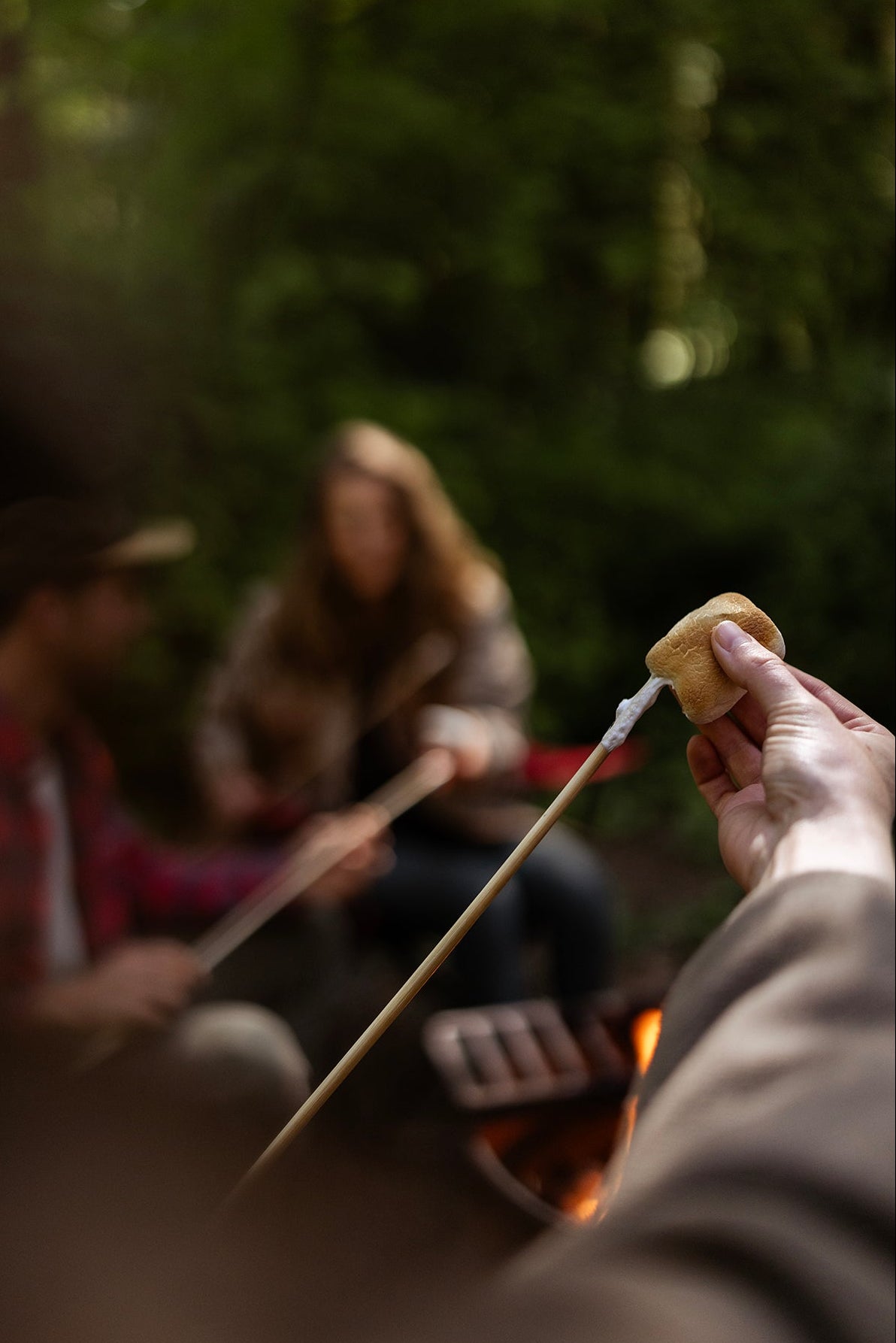 Roasting Sticks