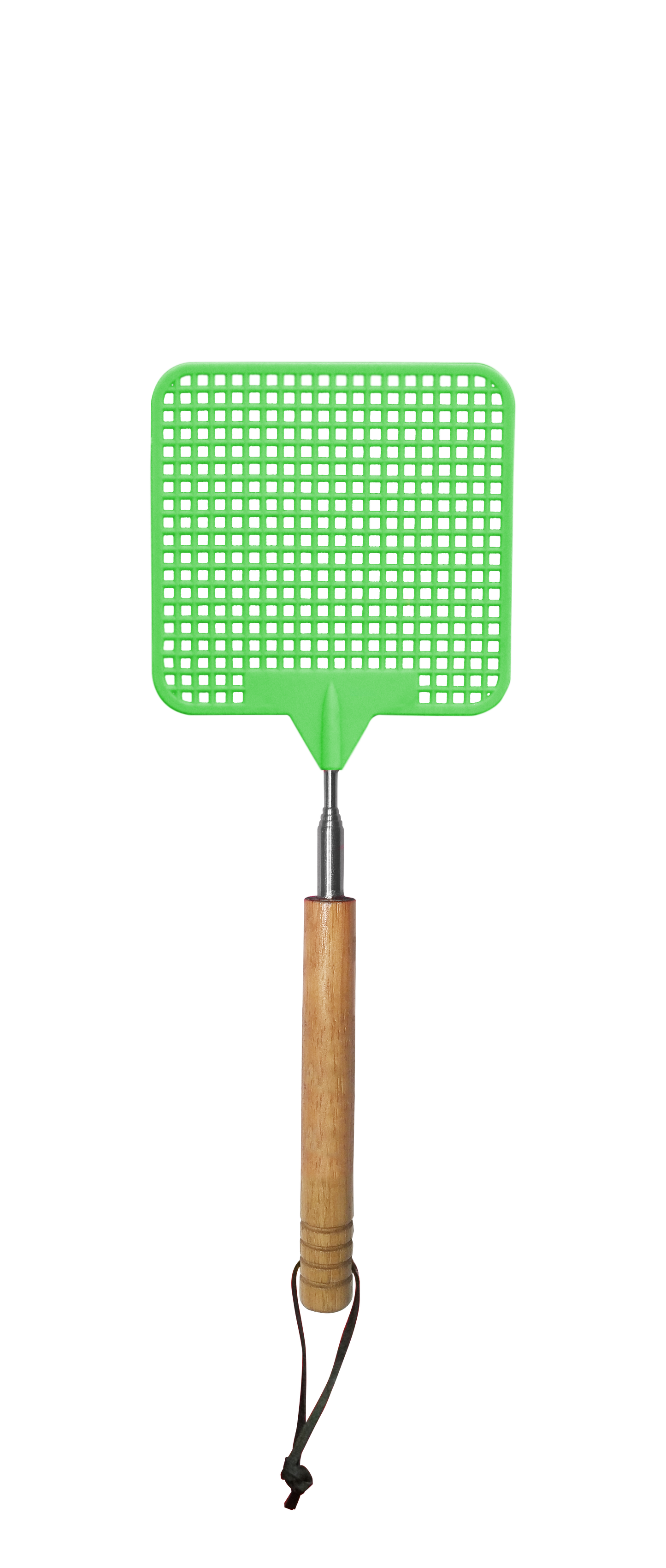 Telescopic Fly Swatter