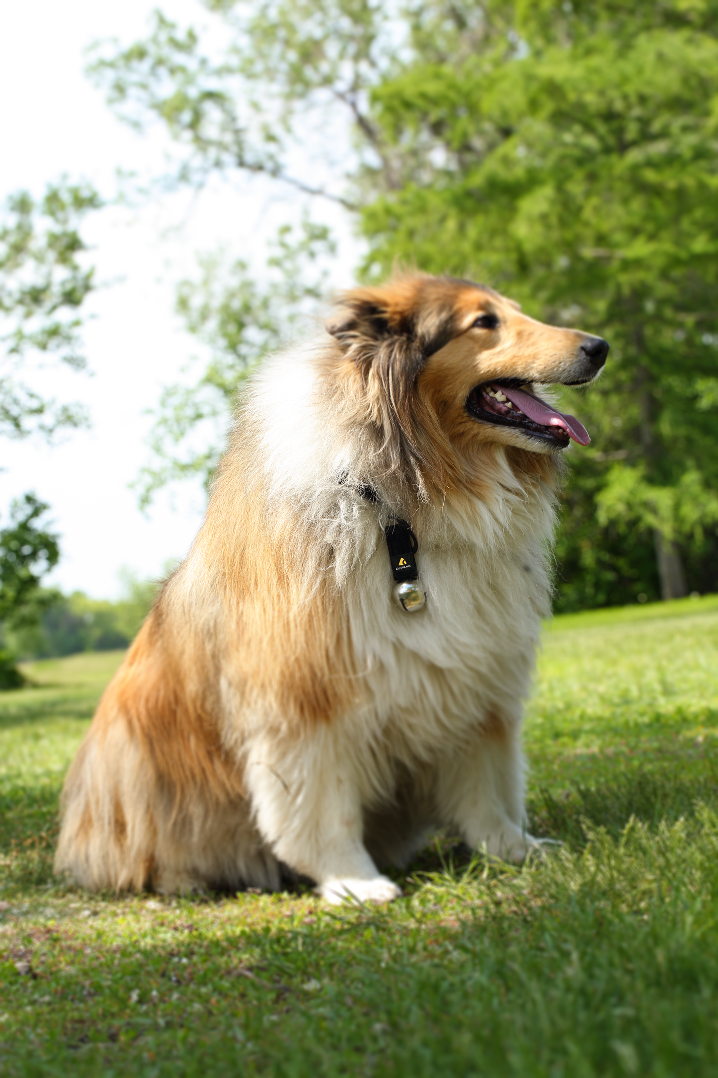 Clochette d’ours avec mousqueton