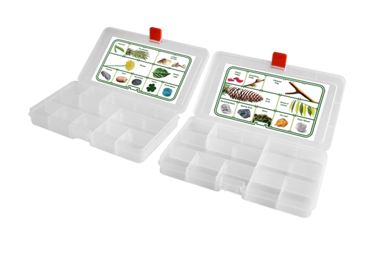 Chasse au trésor