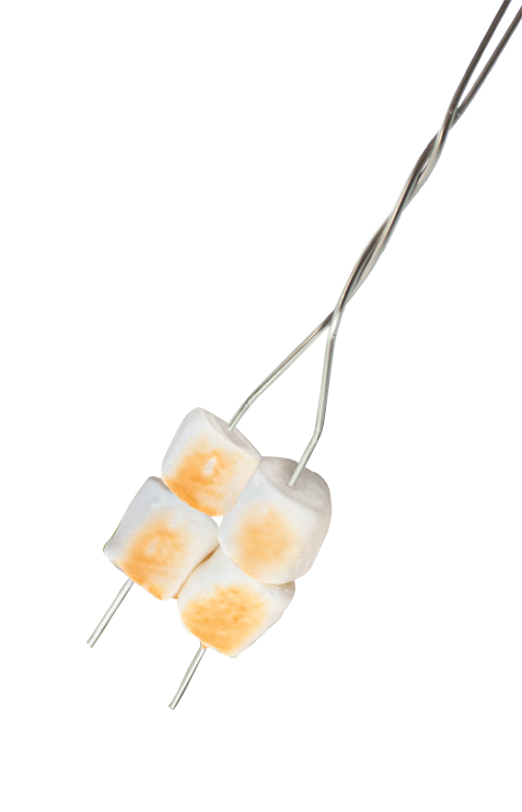 Toaster Forks - 4 Pack