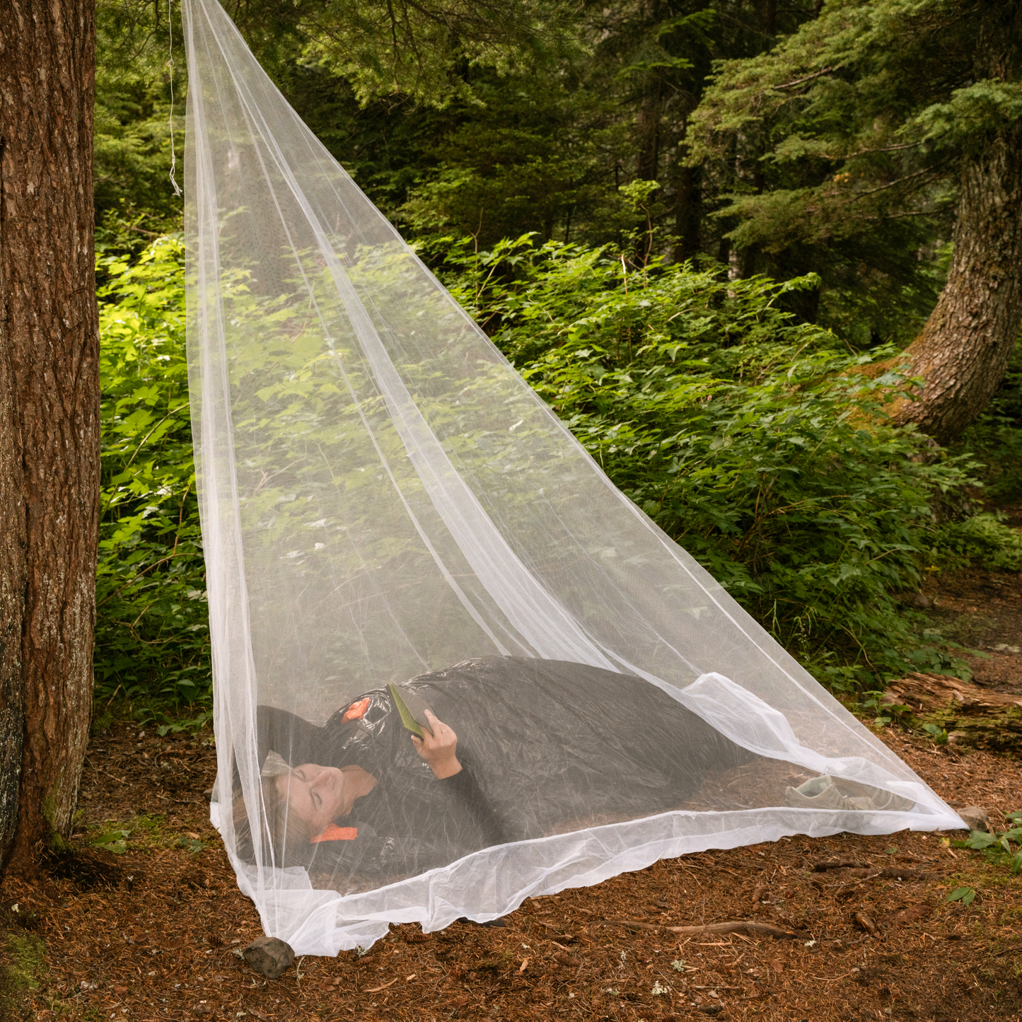 Hikers Mosquito Net