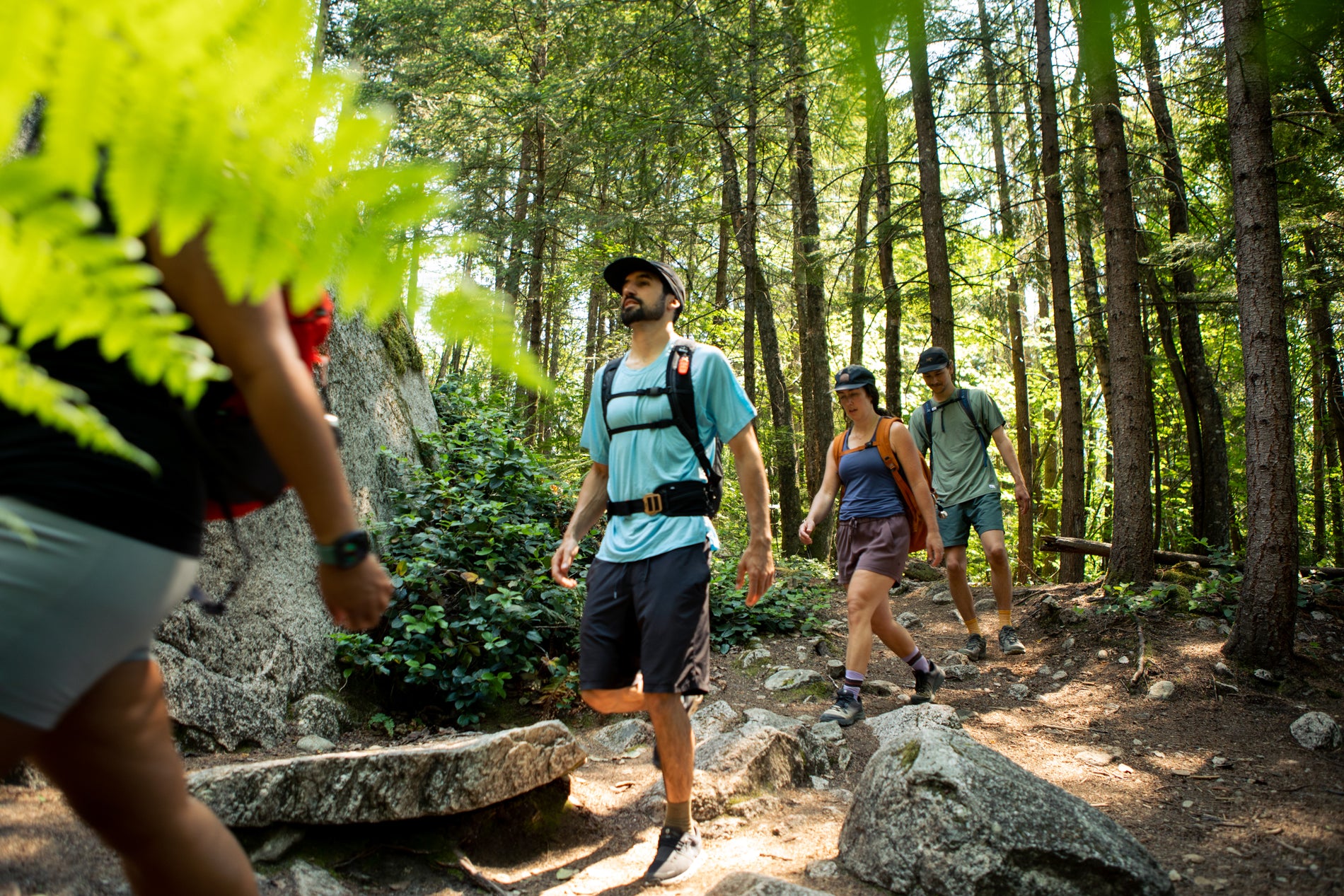 Group of hikers hiking in a forest trail
