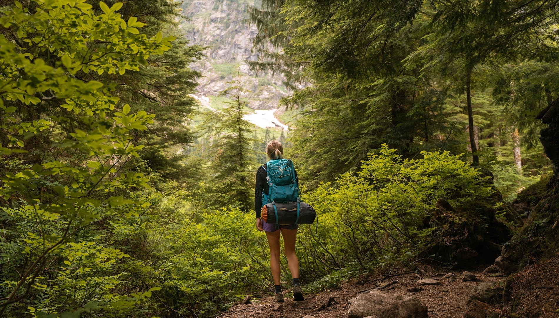 A woman with a hiking backpack facing away from the camera to look at a forest and mountains