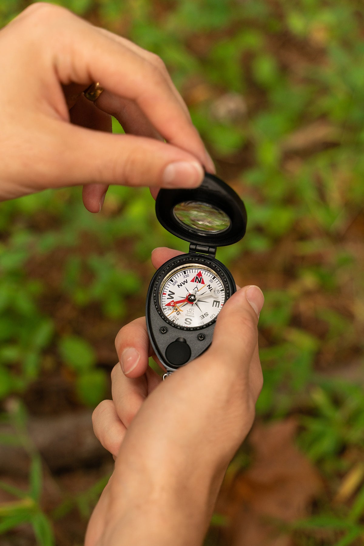 Luminous Compass Luminous Compass – Coghlan's