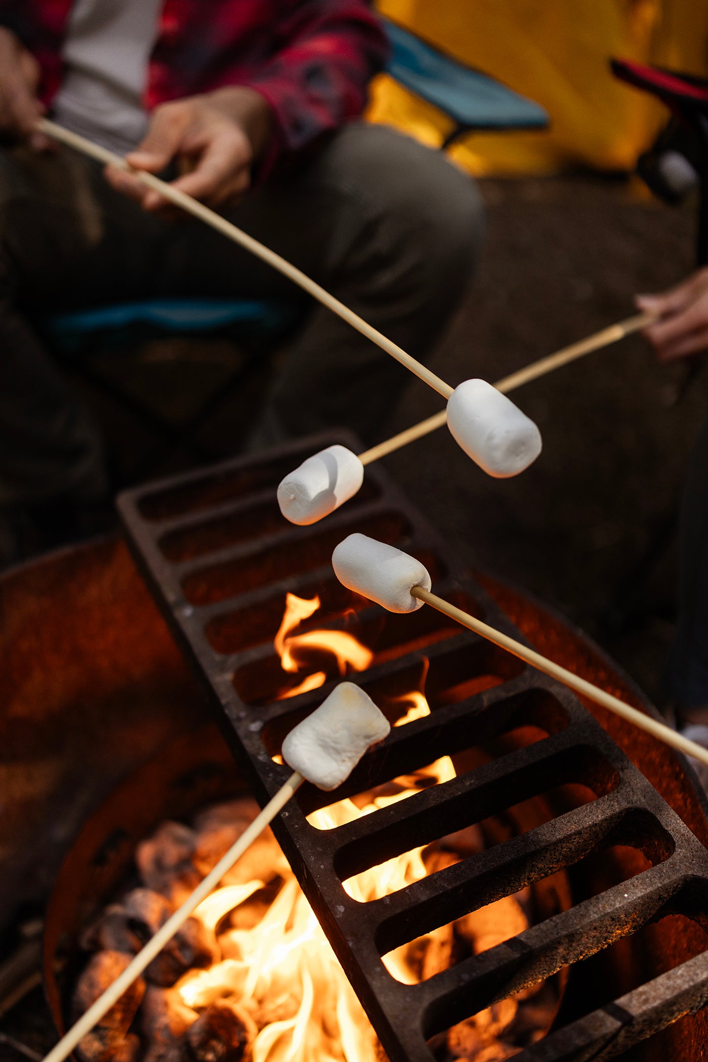 Roasting Sticks