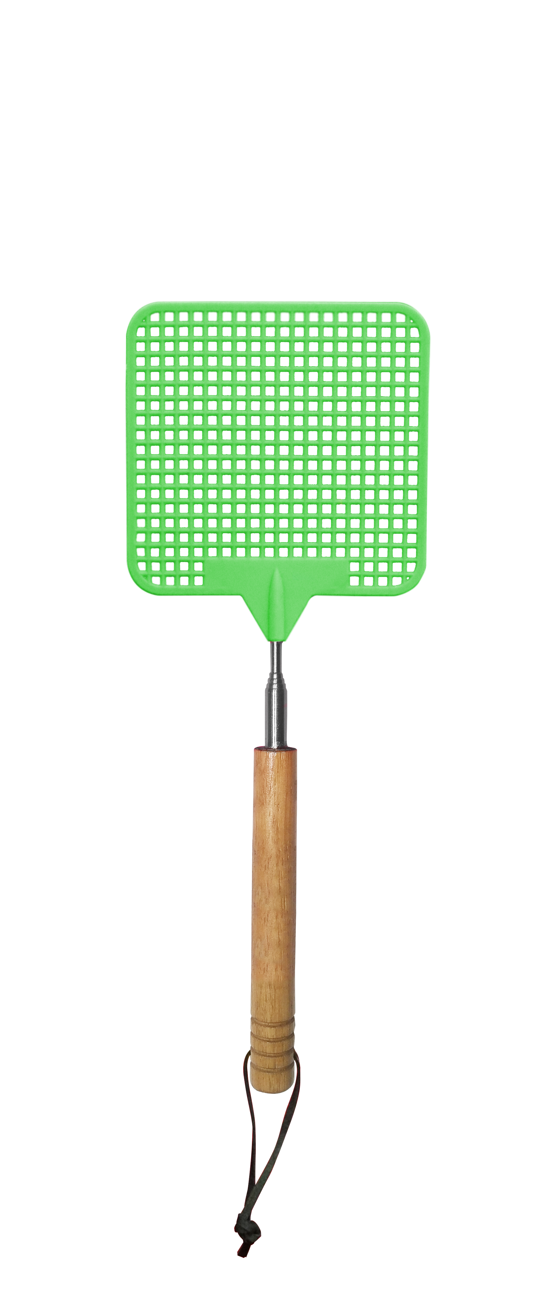 Telescopic Fly Swatter Coghlan s
