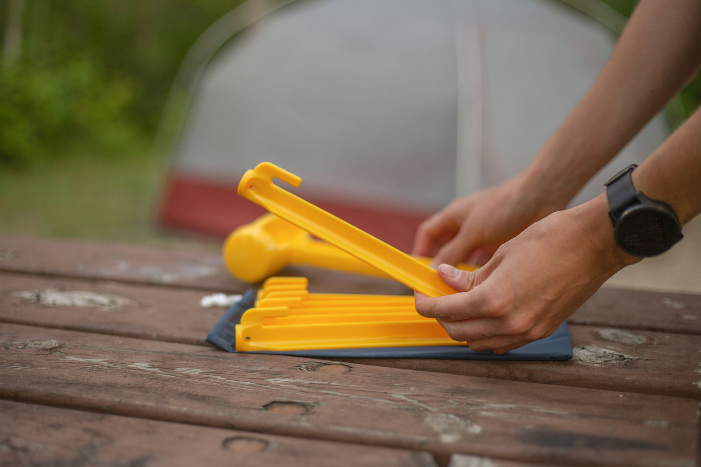 Tent Pegs - 9 in.