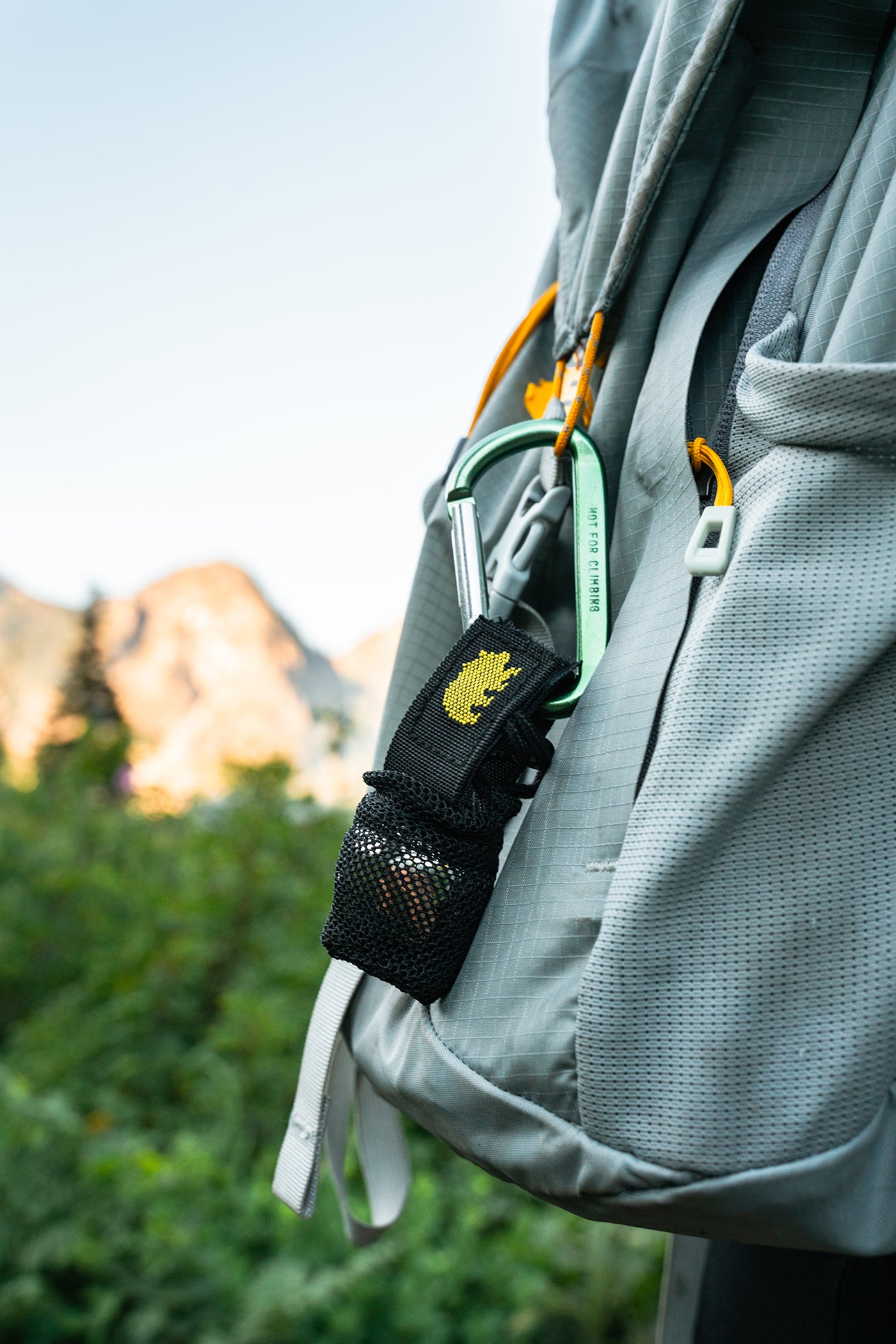 Multi-pack Carabiners – Coghlan's