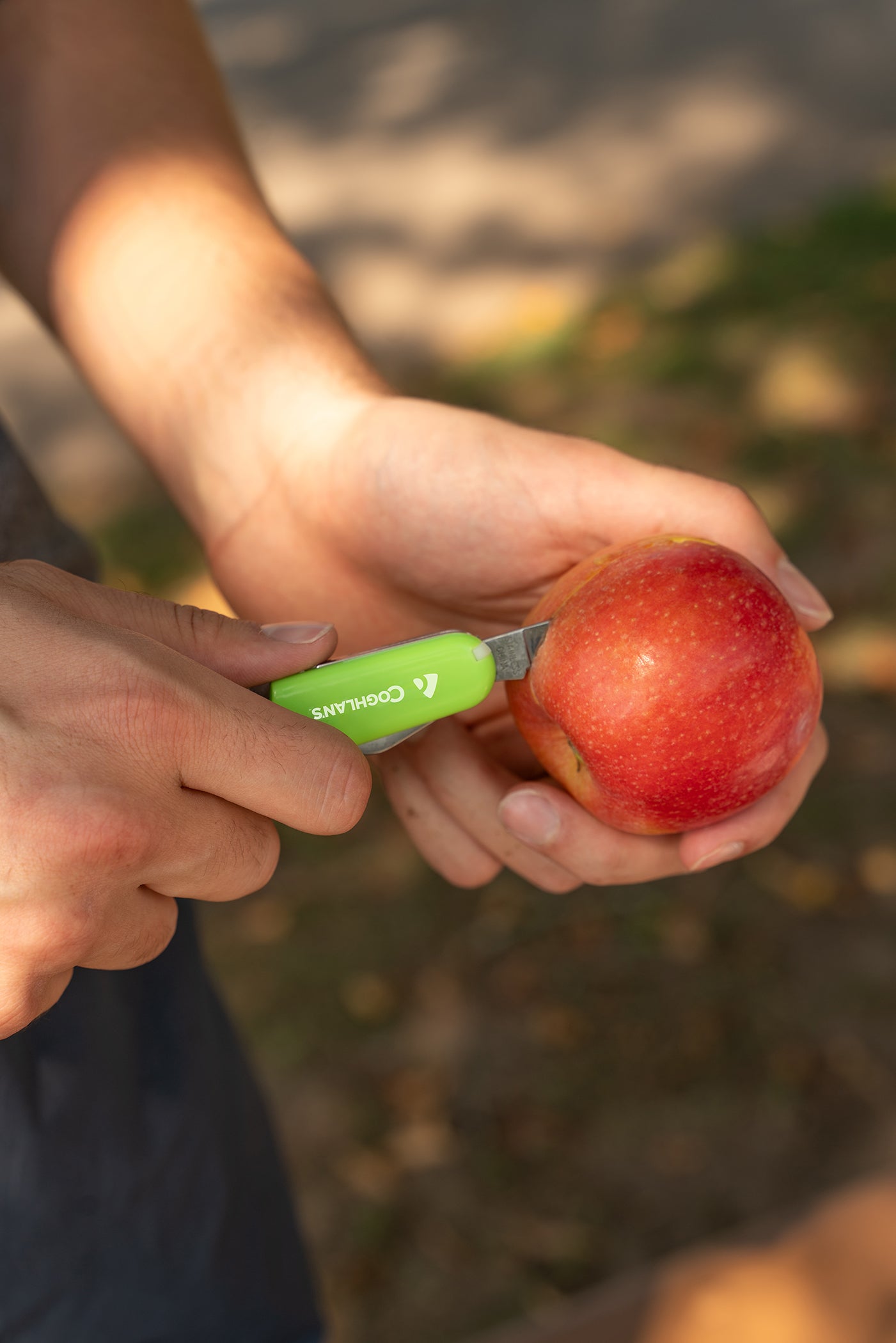 Camp Knife - 5 Function