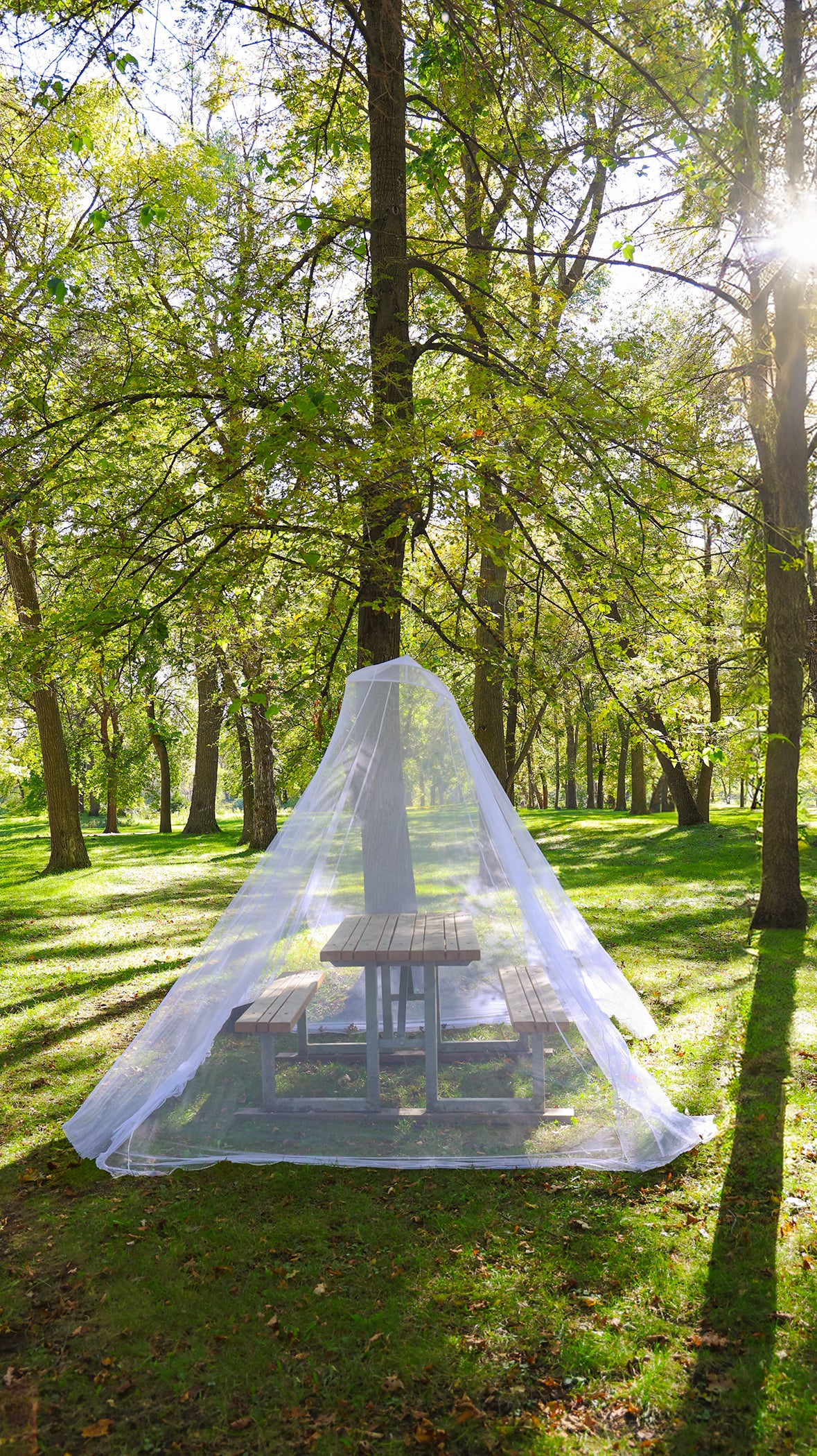 Travellers Mosquito Net – Coghlan's