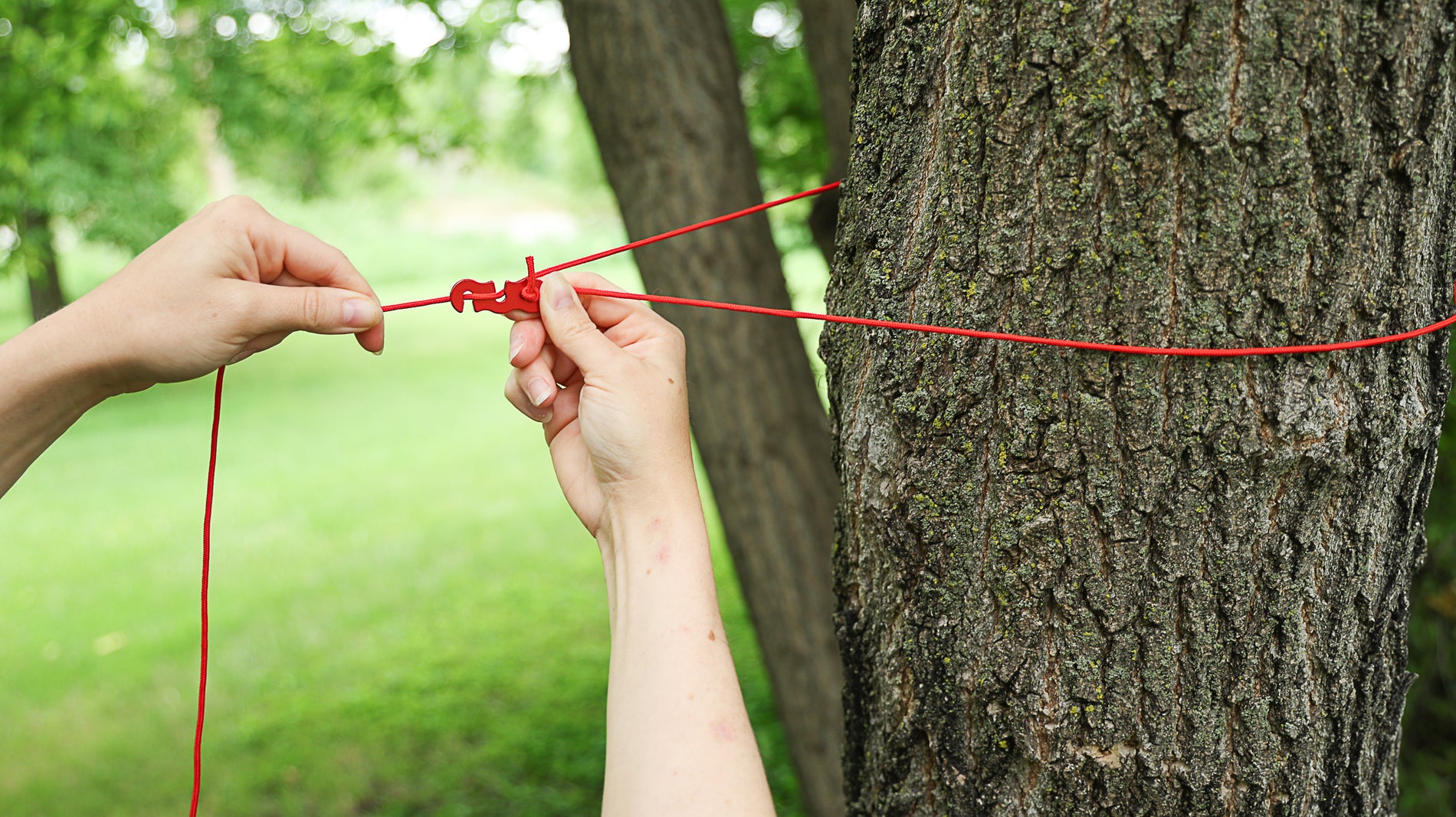 A person's hands looping a cord around a tree and using the anchor clip set's tensioner to tighten and secure the one end of the cord being hanged between two trees