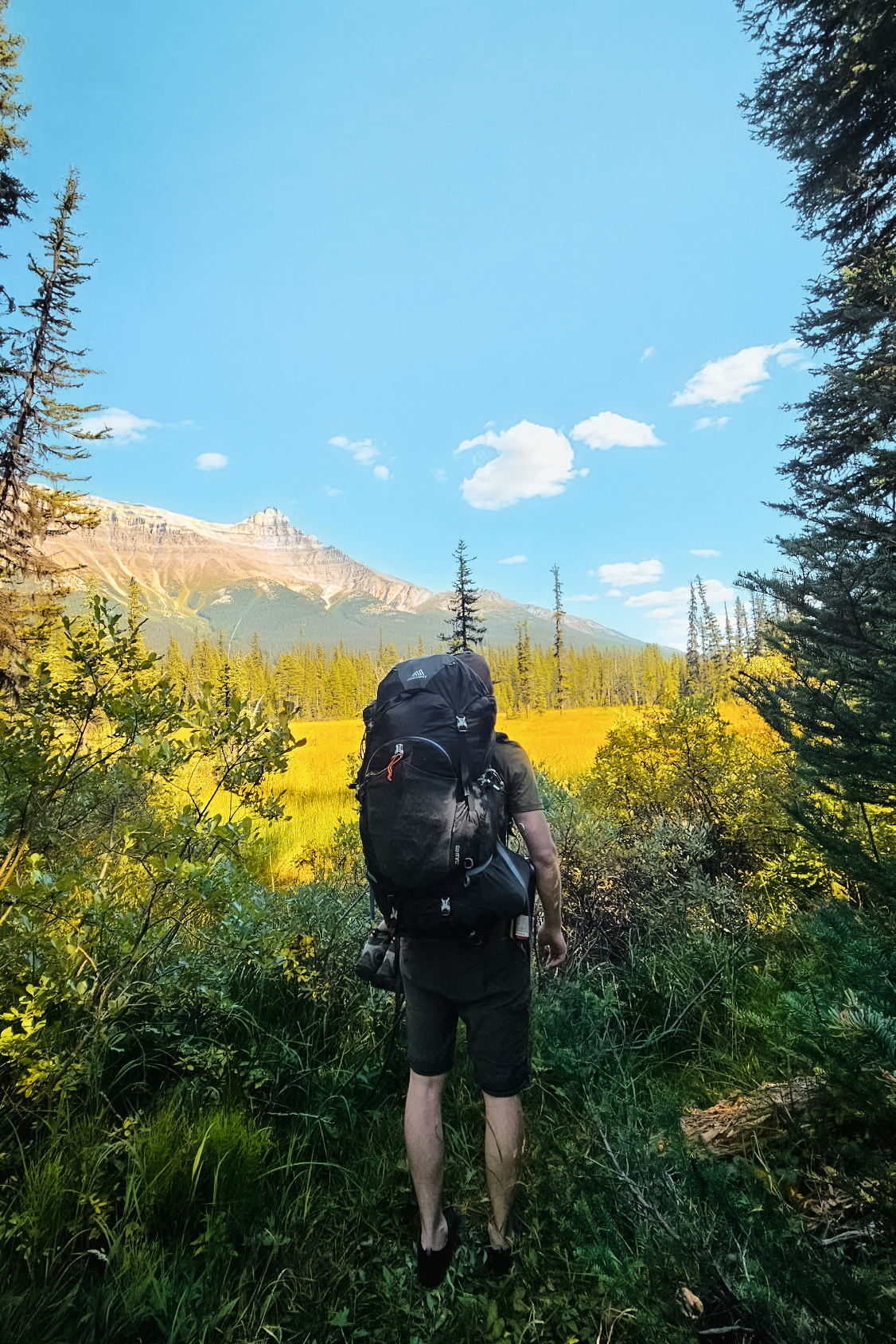 Man with a hiking backpack facing away from camera surrounded by forest and mountain range