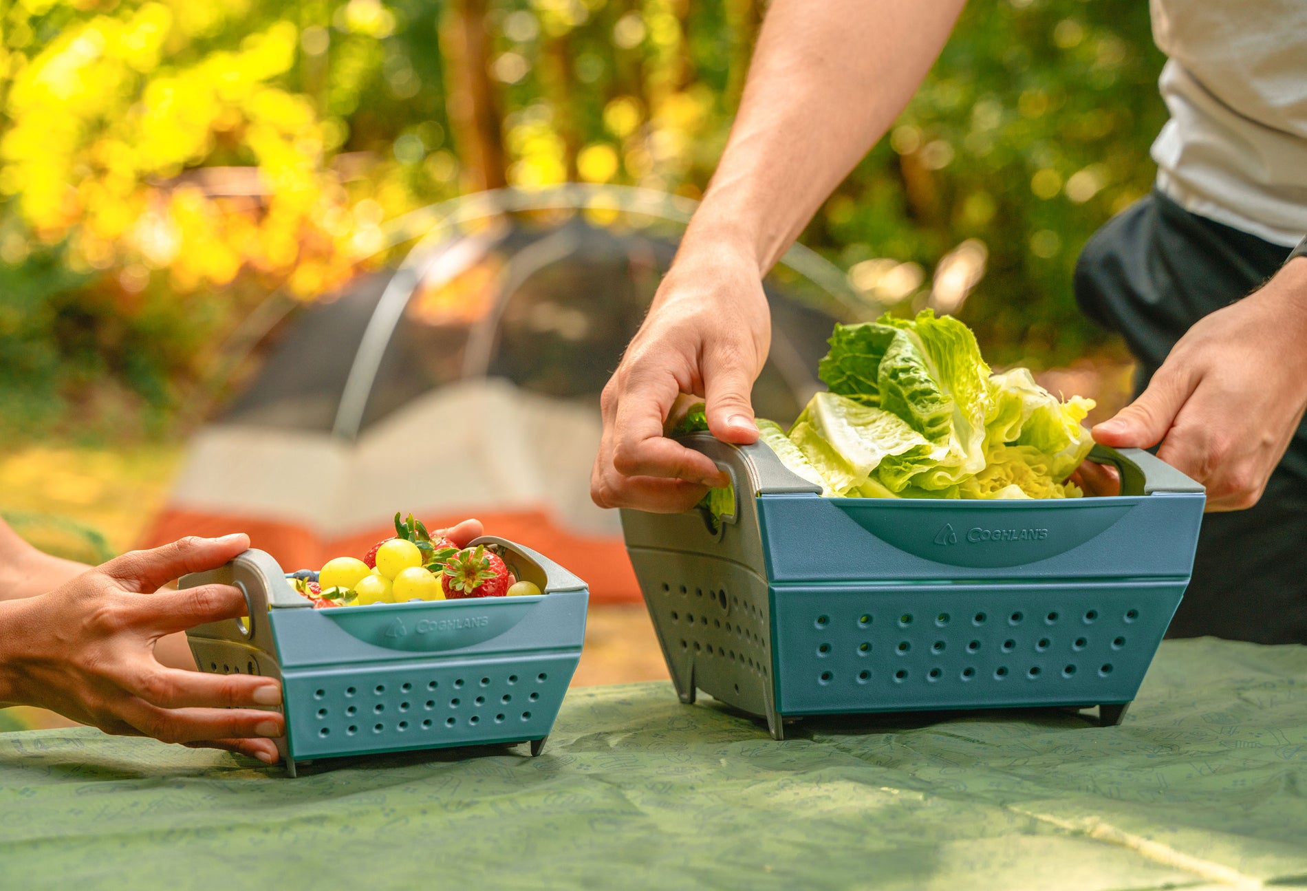 Two sets of hands holding the Coghlan's Large Collander (containing fresh lettuce for rinsing) and Mini Collander (containing grapes and strawberries) on a picnic table. Tent and trees in the background